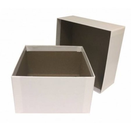 CUSTOM BIOGENIC Storage Box, Standard 3" Cardboard w/ Lid 181021